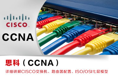 网络工程 构建数字化时代的基石