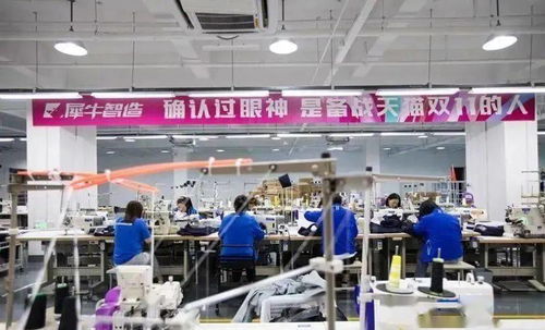 C2M模式 网络工程驱动下的服饰行业新风口与潜在颠覆