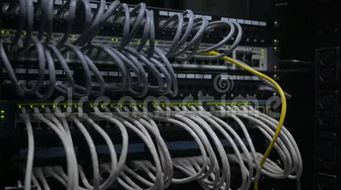 网络工程 构建数字世界的桥梁